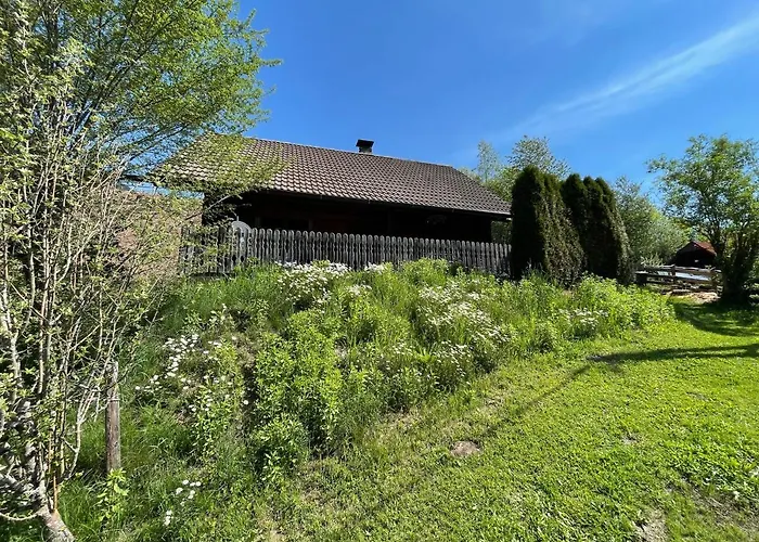 Ferienhütte Bosic