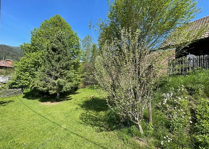 Ferienhütte Bosic